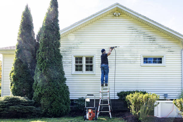 Best Patio and Deck Pressure Washing  in West Carthage, NY